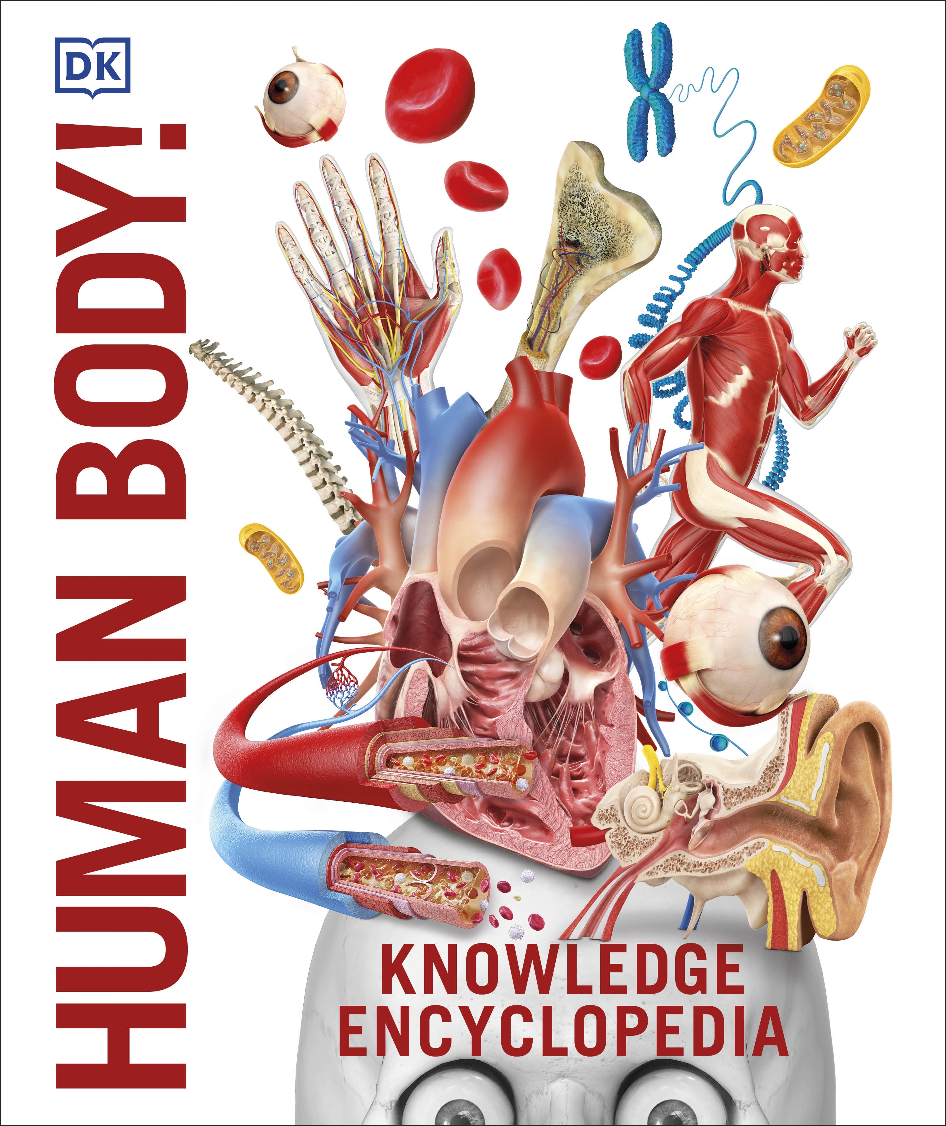 Knowledge Encyclopedia Human Body!